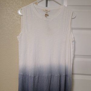 NWT Blue Ombre Easel Dress